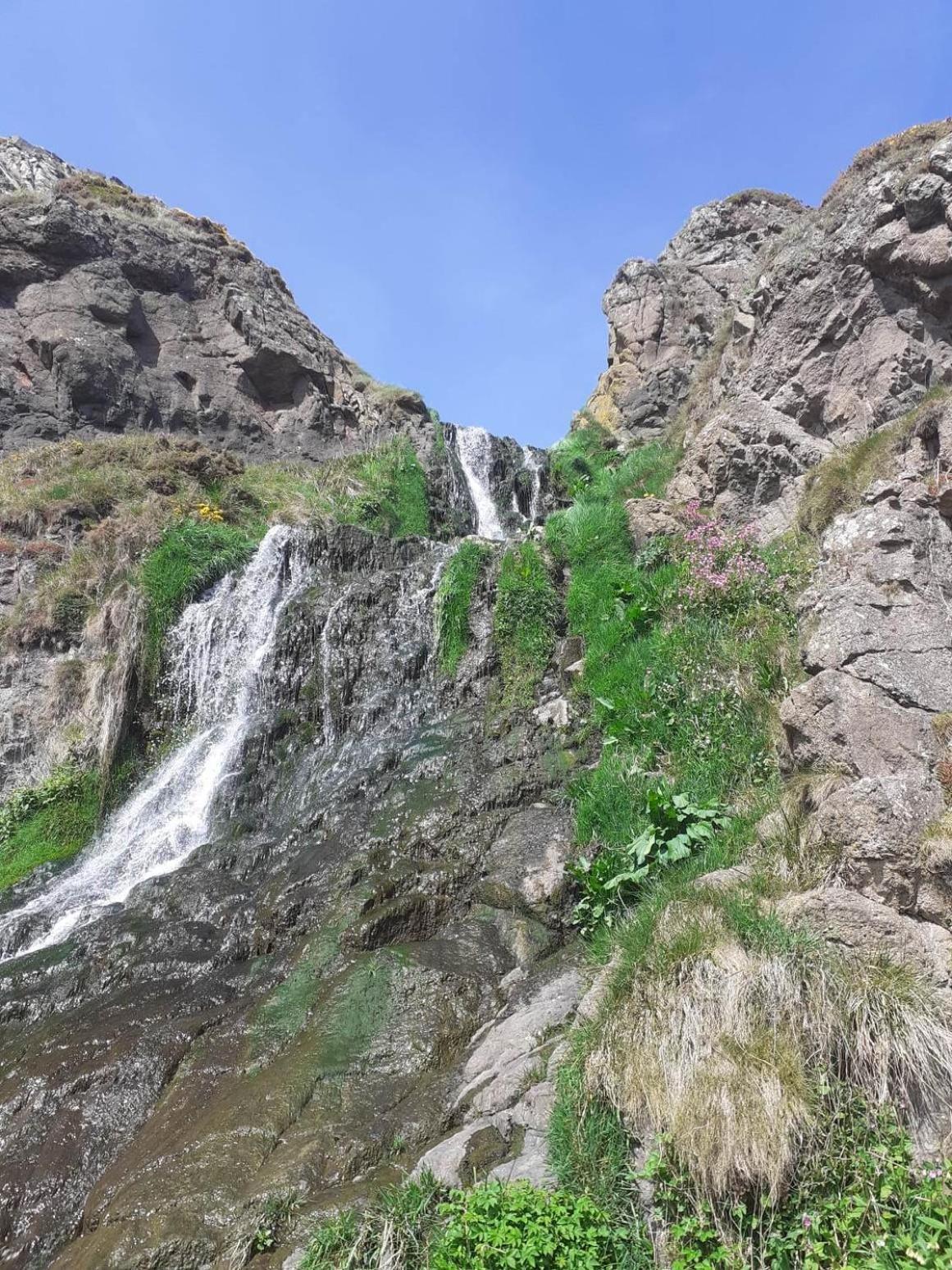 Kittiwake Daire Saint Cyrus Dış mekan fotoğraf